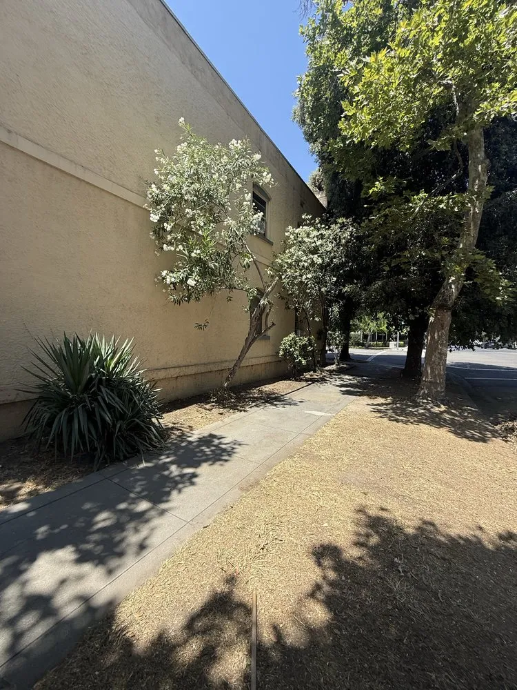 Local landscape installation experts serving Modesto, CA - J&N Sanchez Garden Service