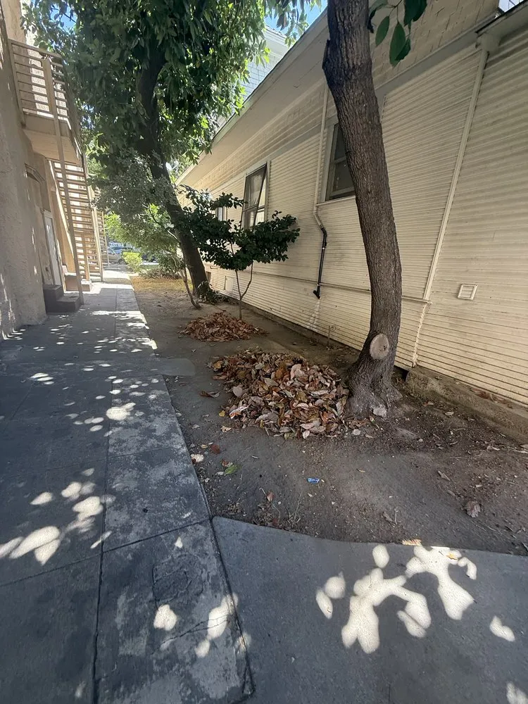 Custom lawn care service for residential properties in Modesto, CA by J&N Sanchez Garden Service