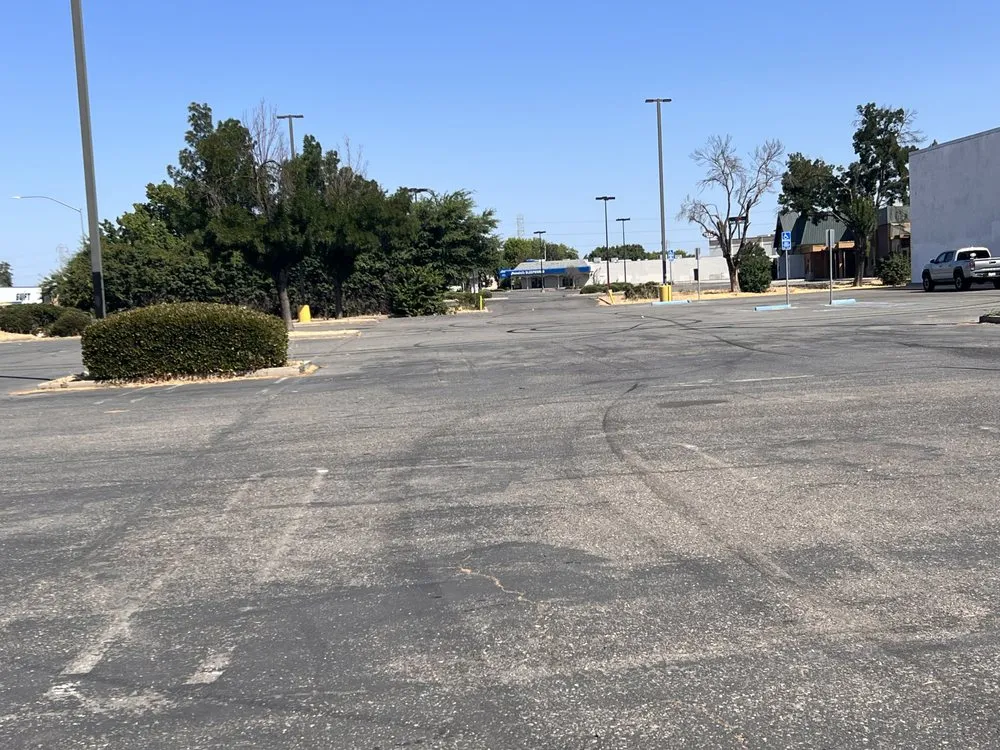 Professional outdoor landscaping in Modesto, CA - J&N Sanchez Garden Service