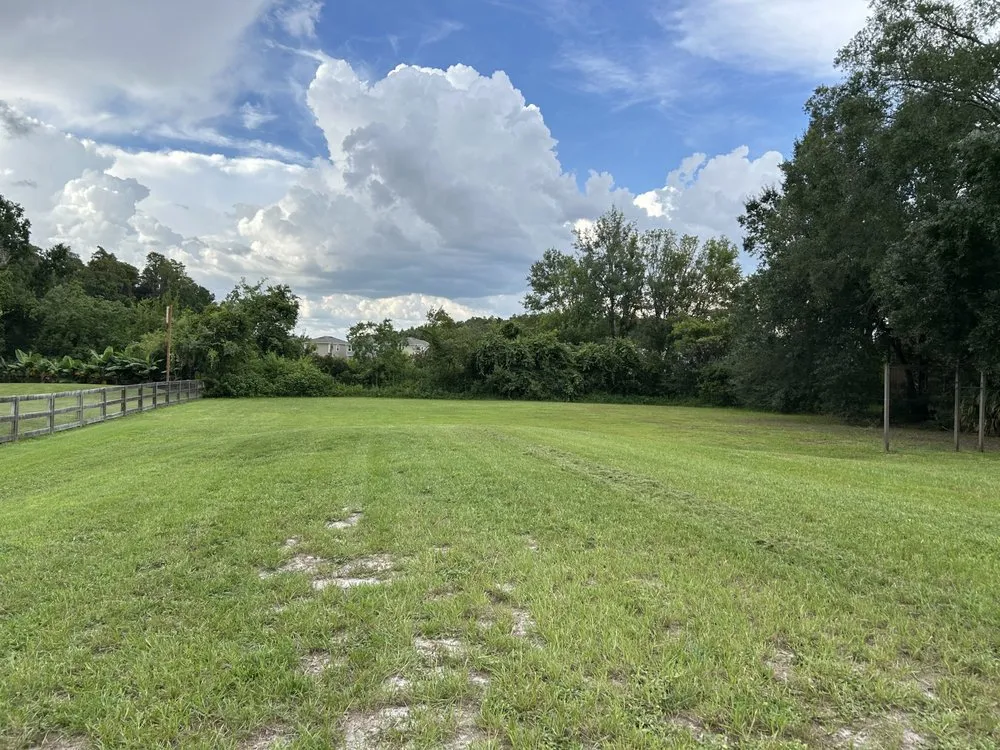 Top-rated outdoor landscaping experts serving Tampa, FL - J&N Services