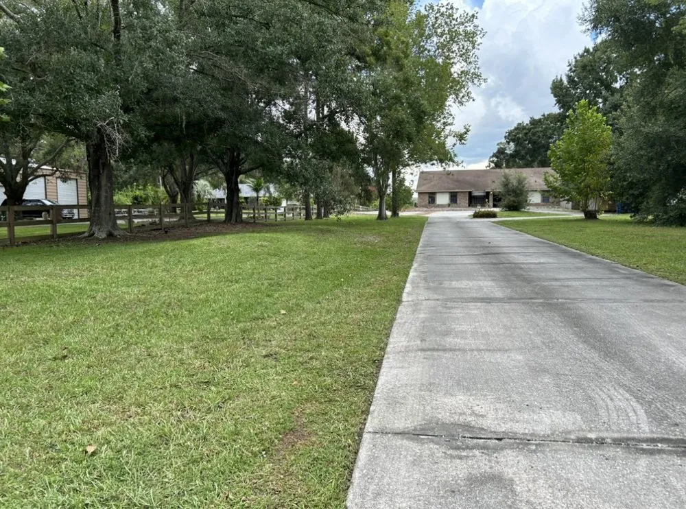 Reliable landscape installation near you in Tampa, FL by J&N Services