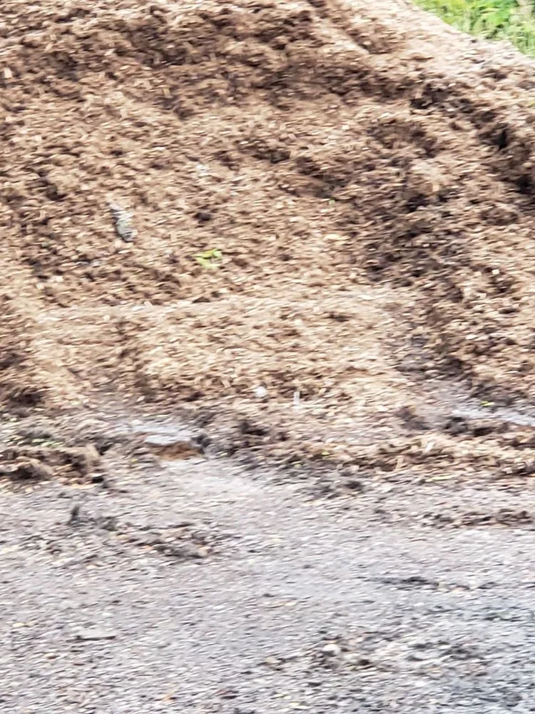 Professional outdoor landscaping for year-round maintenance across Marlboro, NY - J&N Stafford