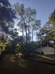 Local residential landscaping in Silver Springs, FL by JN Tree Service