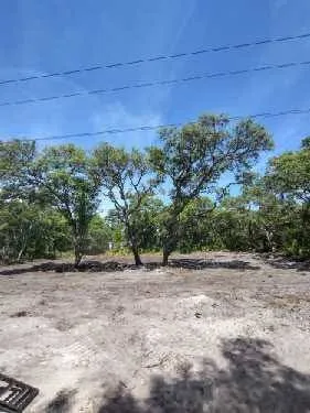 Custom yard maintenance in Silver Springs, FL - JN Tree Service