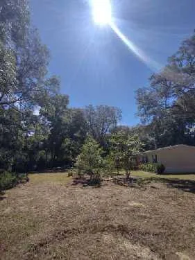 Custom lawn care service in Silver Springs, FL - JN Tree Service