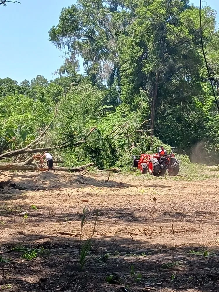 Affordable yard cleanup service experts serving Silver Springs, FL - JN Tree Service