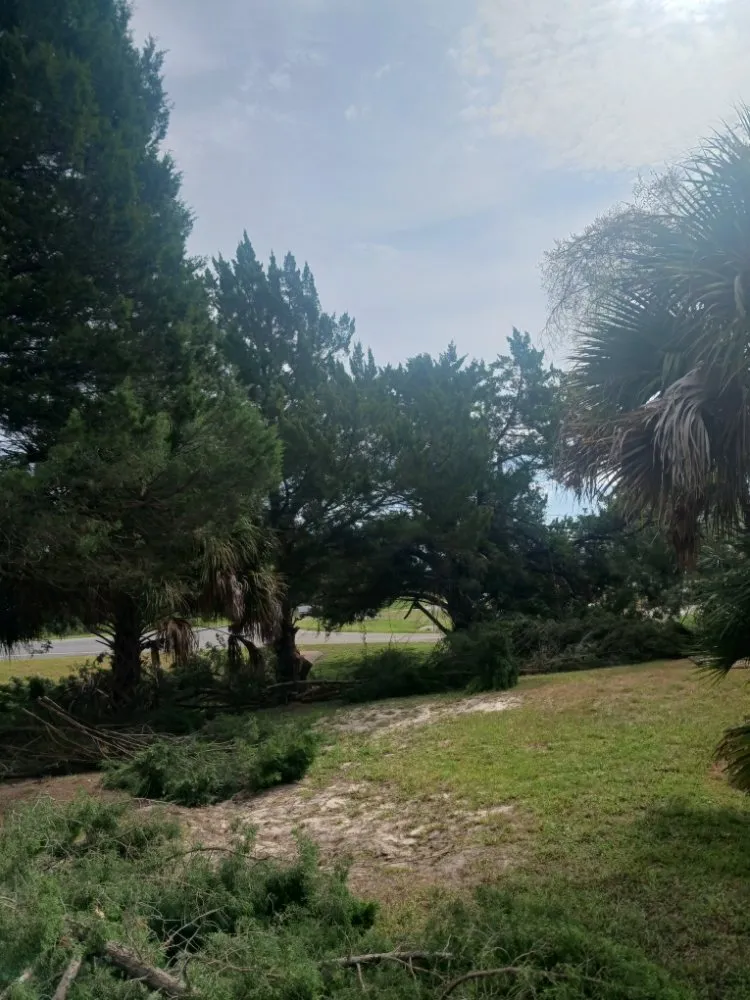 Trusted outdoor landscaping for year-round maintenance across Silver Springs, FL - JN Tree Service