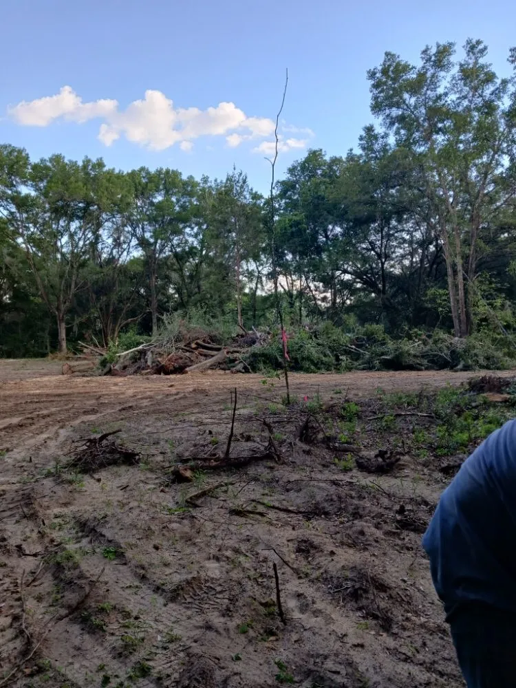 Professional garden landscaping for year-round maintenance across Silver Springs, FL - JN Tree Service