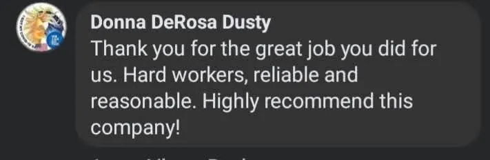 Professional yard cleanup service experts serving Silver Springs, FL - JN Tree Service