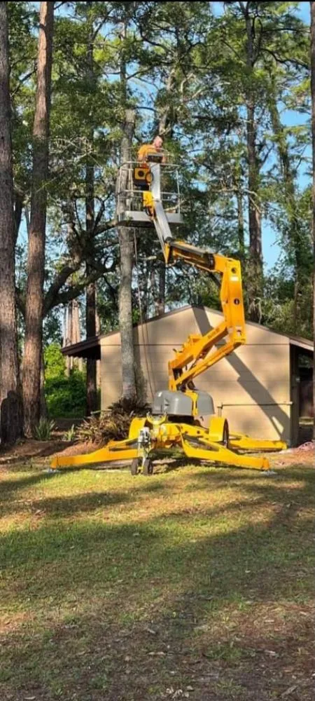Custom landscape design for year-round maintenance in Silver Springs, FL by JN Tree Service