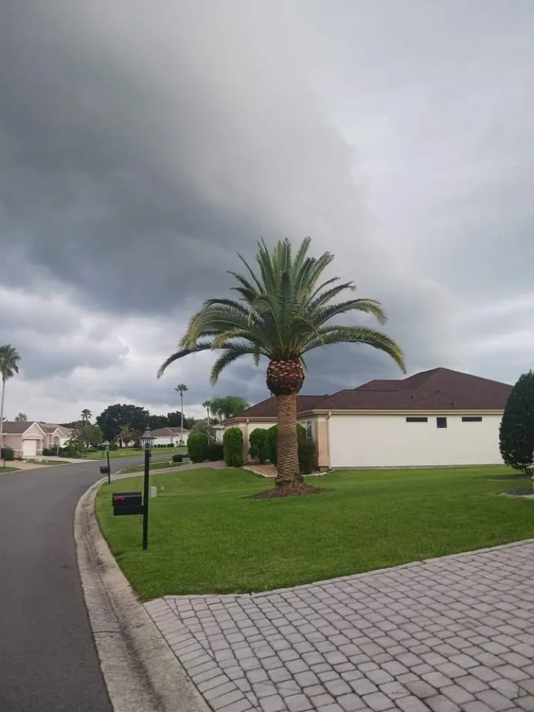 Custom yard cleanup service in Silver Springs, FL by JN Tree Service