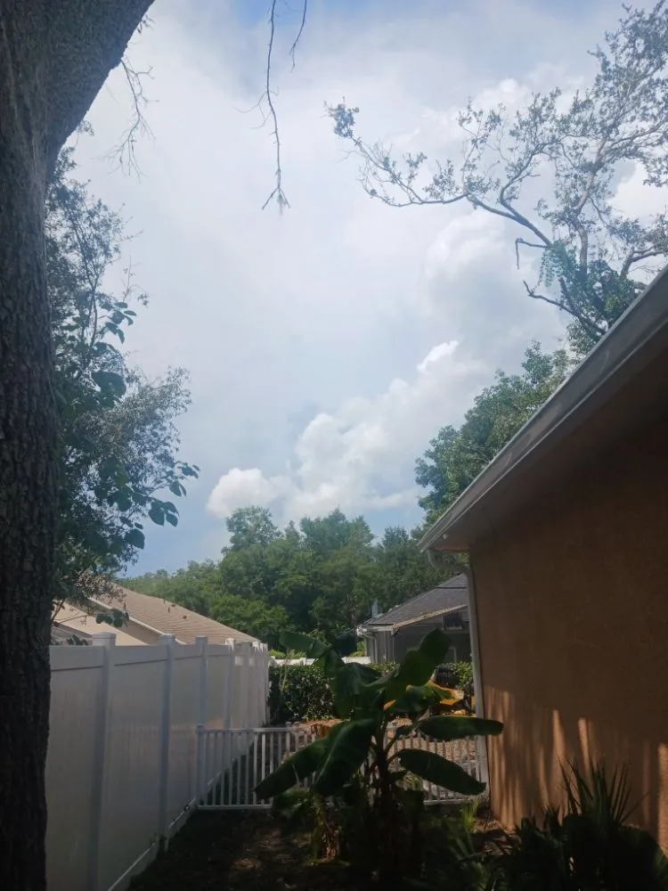 Affordable landscape installation in Silver Springs, FL - JN Tree Service