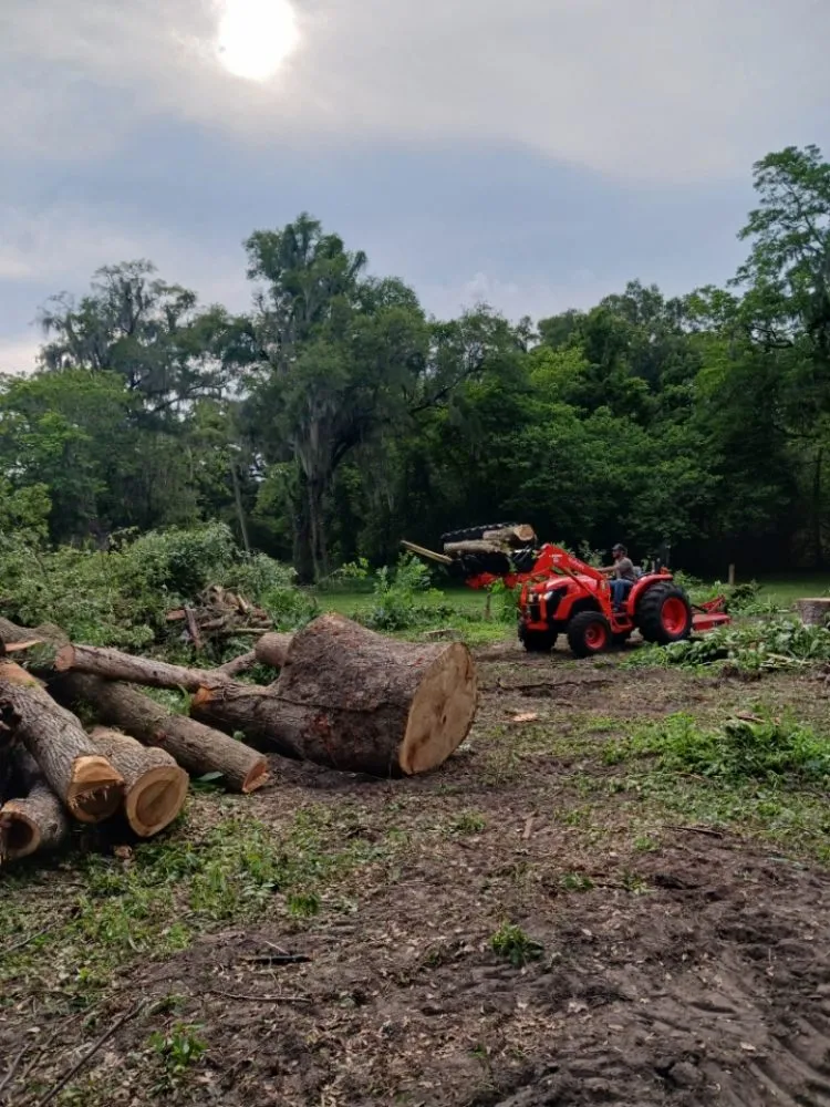 Reliable lawn care service for outdoor upgrades across Silver Springs, FL - JN Tree Service