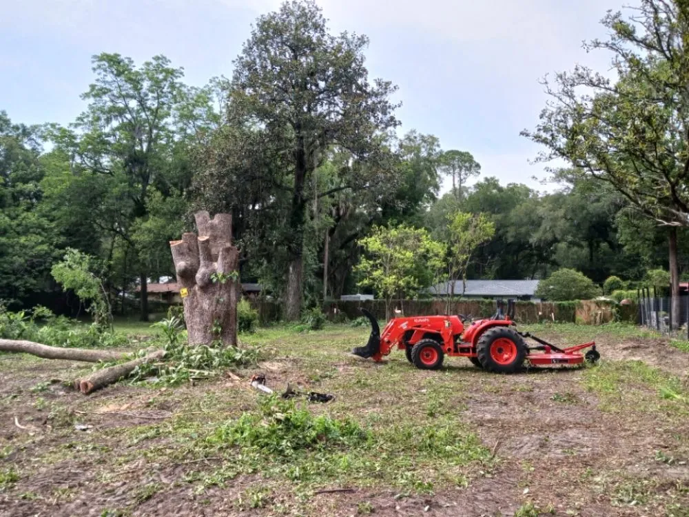 Expert yard maintenance for residential properties in Silver Springs, FL by JN Tree Service