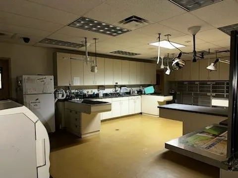 Reliable yard maintenance in San Antonio, TX by JNA Cleaning Service