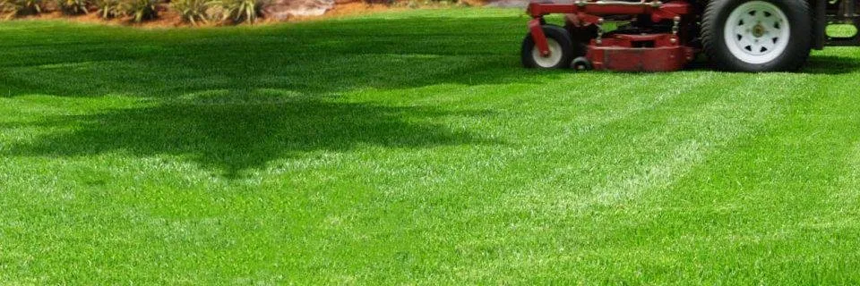 Expert outdoor landscaping experts serving Spring Hill, FL - Jnb Landscaping and Lawn Care