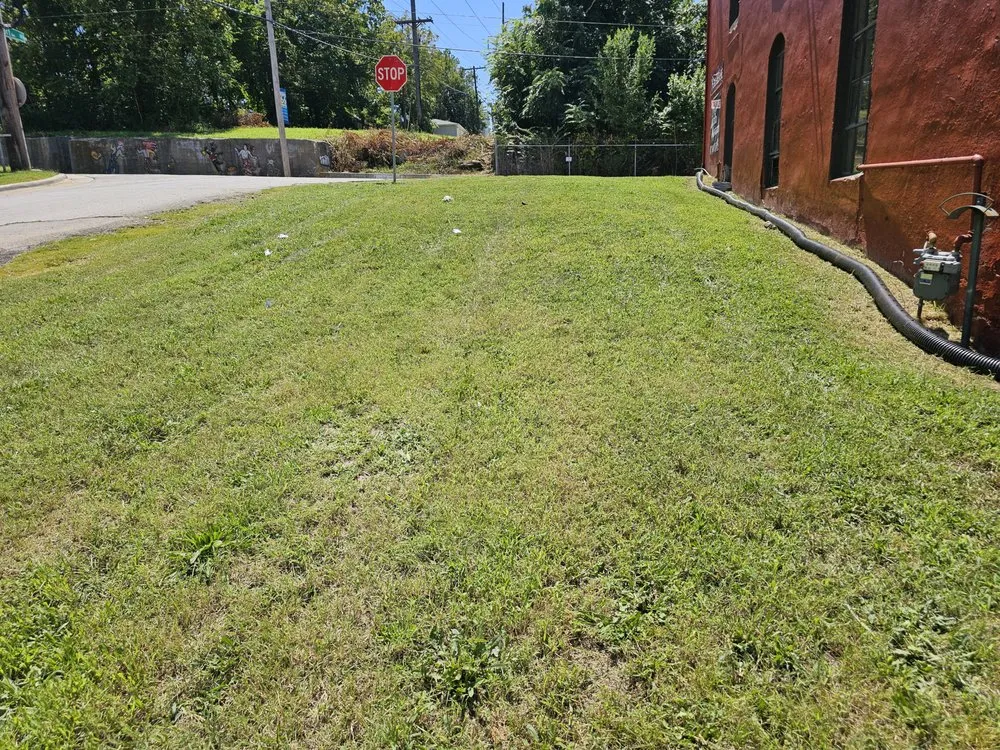 Reliable lawn care service in Battlefield, MO by JNB Lawn Care