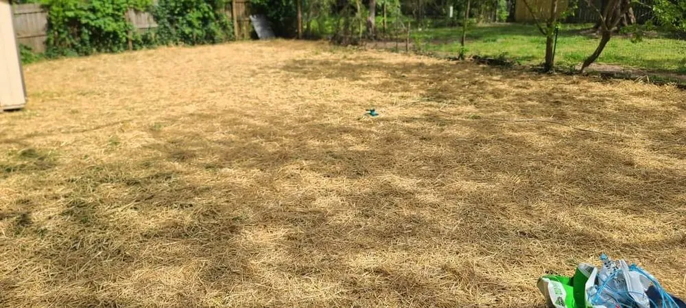 Reliable landscape design in Battlefield, MO - JNB Lawn Care