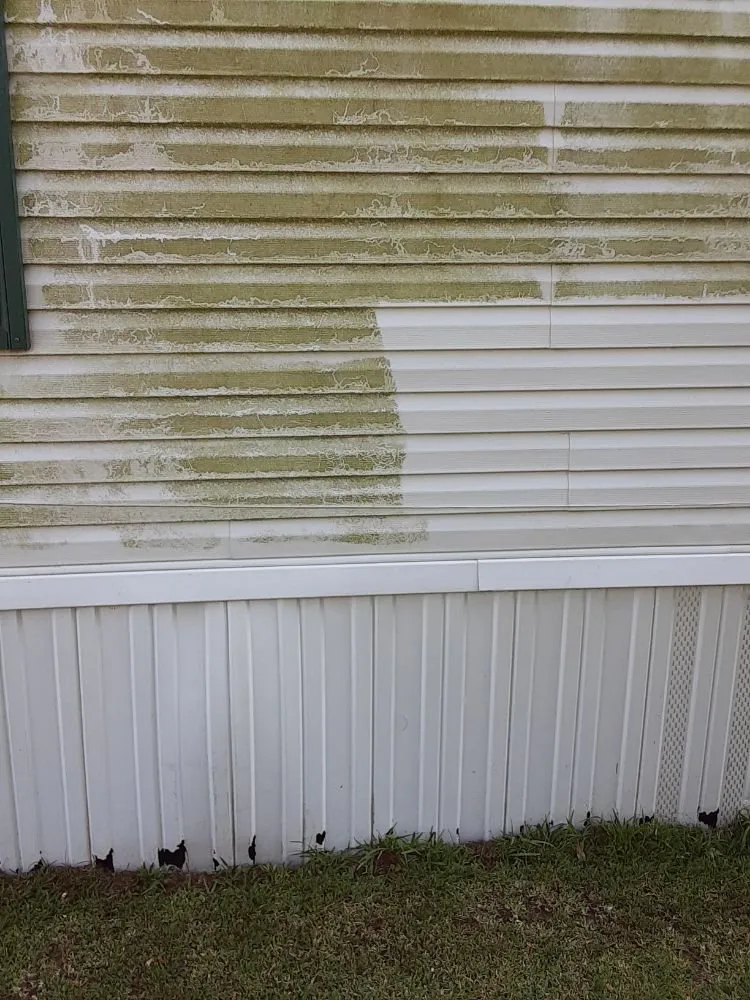 Custom yard cleanup service with custom design across Beaumont, TX - JNB Services