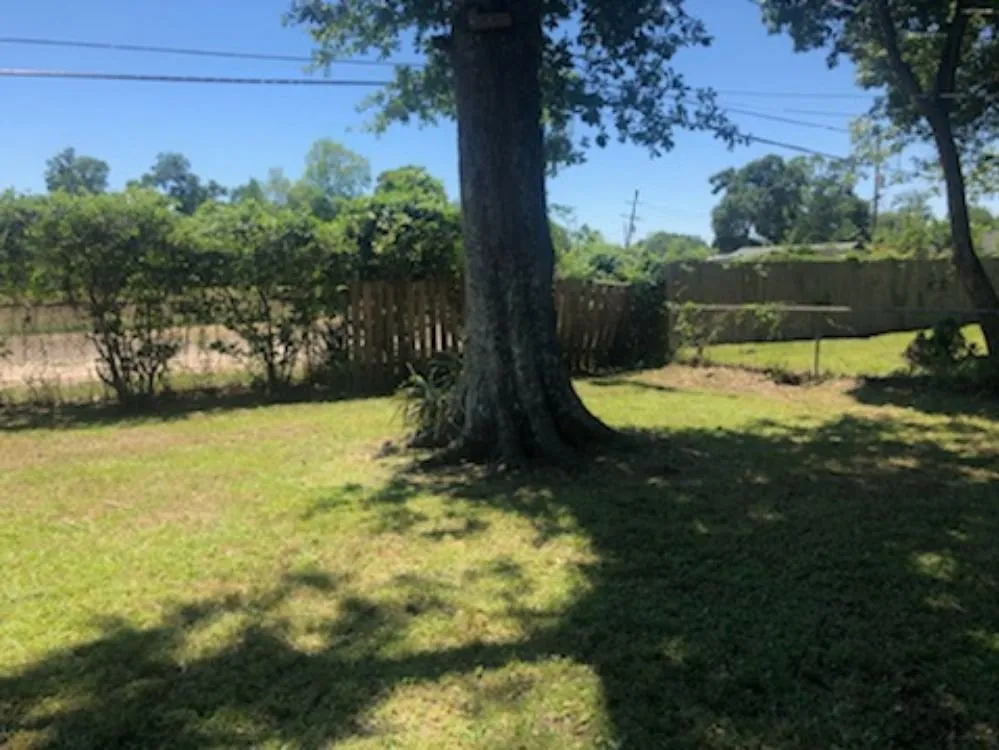 Top-rated lawn mowing service for residential properties in Beaumont, TX by JNB Services