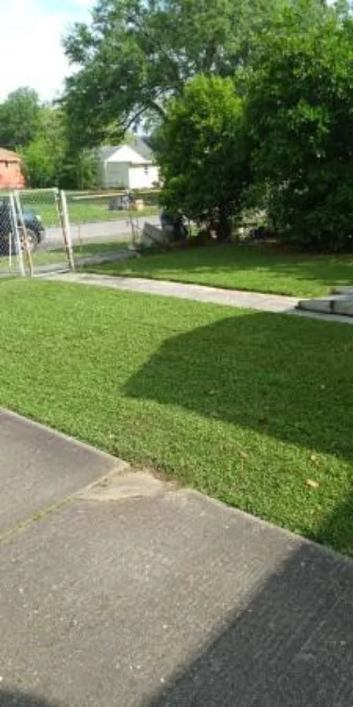 Custom yard cleanup service for beautiful yards in Beaumont, TX by JNB Services