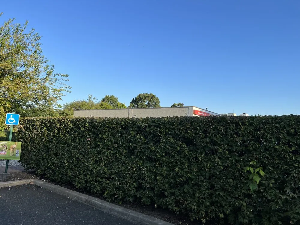 Trusted garden landscaping experts serving Brentwood, NY - JNC Landscaping