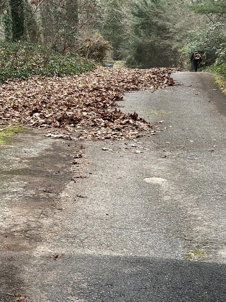 Reliable yard maintenance in Brentwood, NY - JNC Landscaping