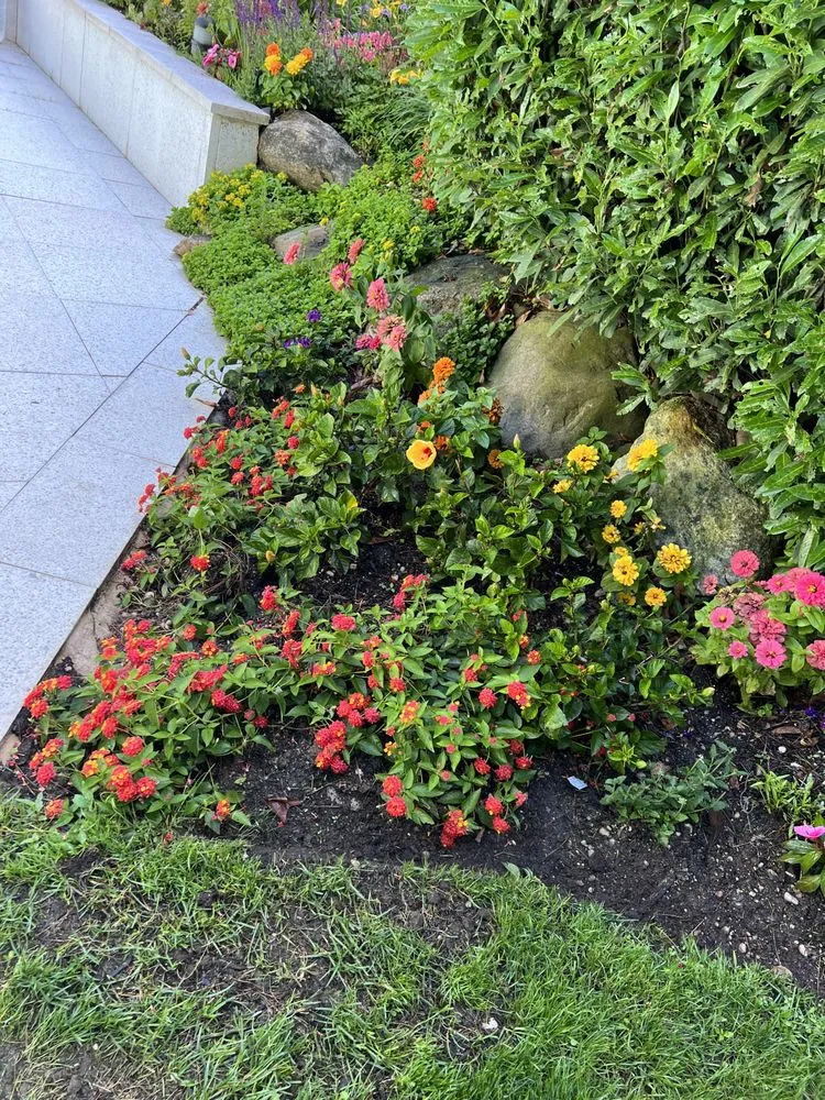 Affordable landscaping services in Brentwood, NY by JNC Landscaping