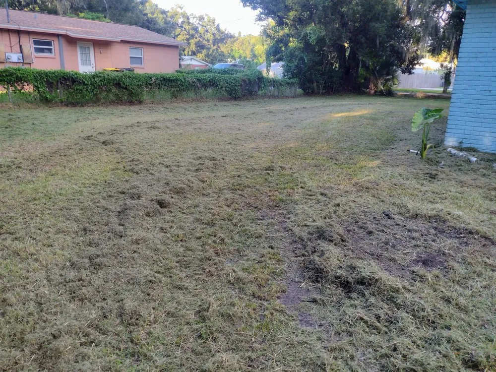 Local lawn mowing service for outdoor upgrades across Auburndale, FL - Jnc Lawncare