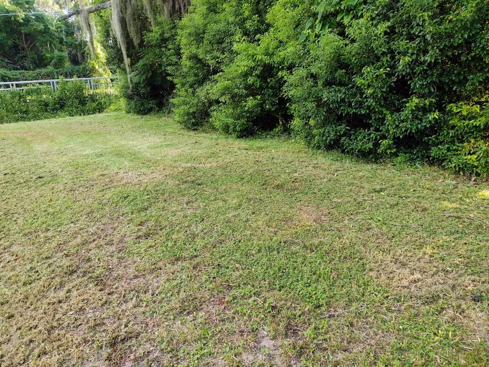 Trusted outdoor landscaping for homes in Auburndale, FL by Jnc Lawncare