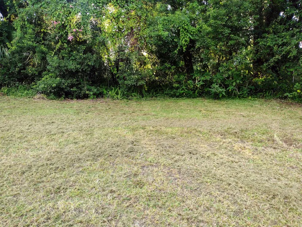 Top-rated landscaping services with custom design across Auburndale, FL - Jnc Lawncare