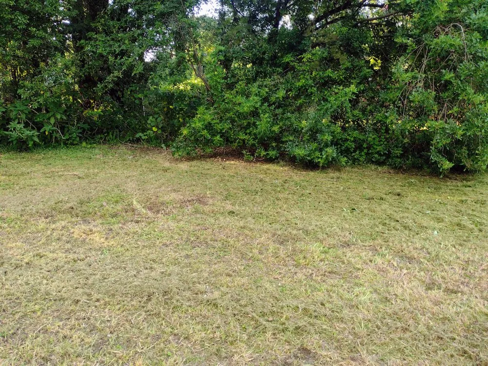 Affordable yard cleanup service experts serving Auburndale, FL - Jnc Lawncare