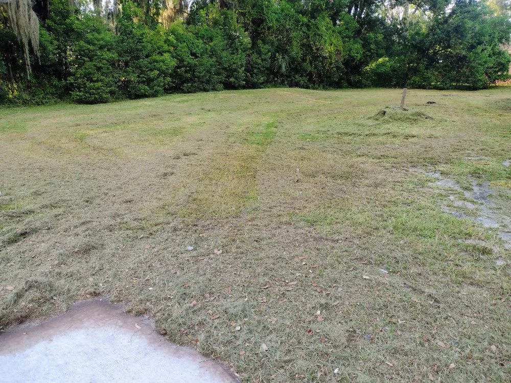 Top-rated lawn care service for residential properties across Auburndale, FL - Jnc Lawncare