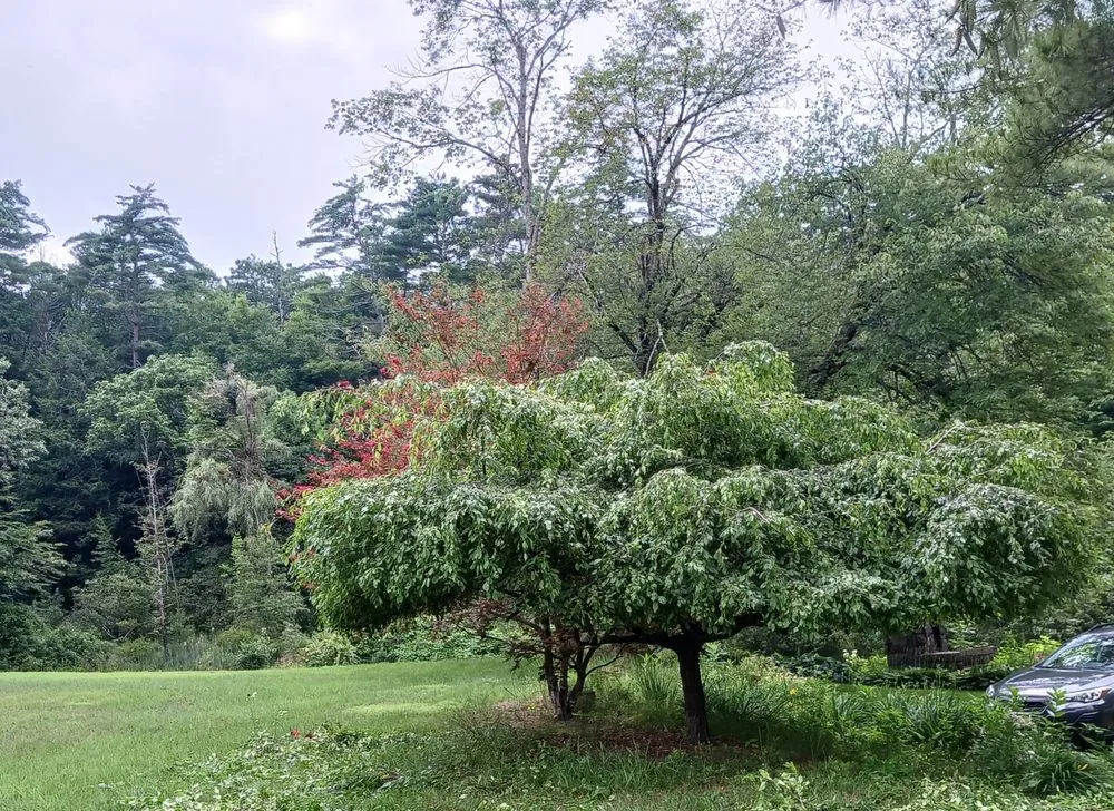 Professional outdoor landscaping in Queensbury, NY by JNC Lawnz