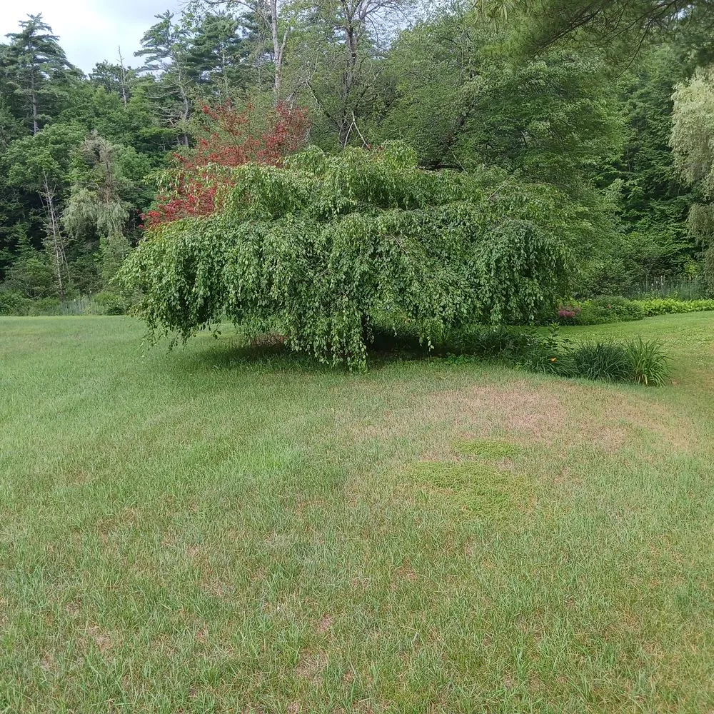 Reliable landscaping services in Queensbury, NY - JNC Lawnz