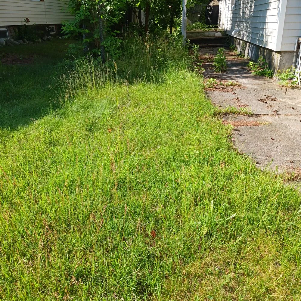 Expert garden landscaping in Queensbury, NY by JNC Lawnz