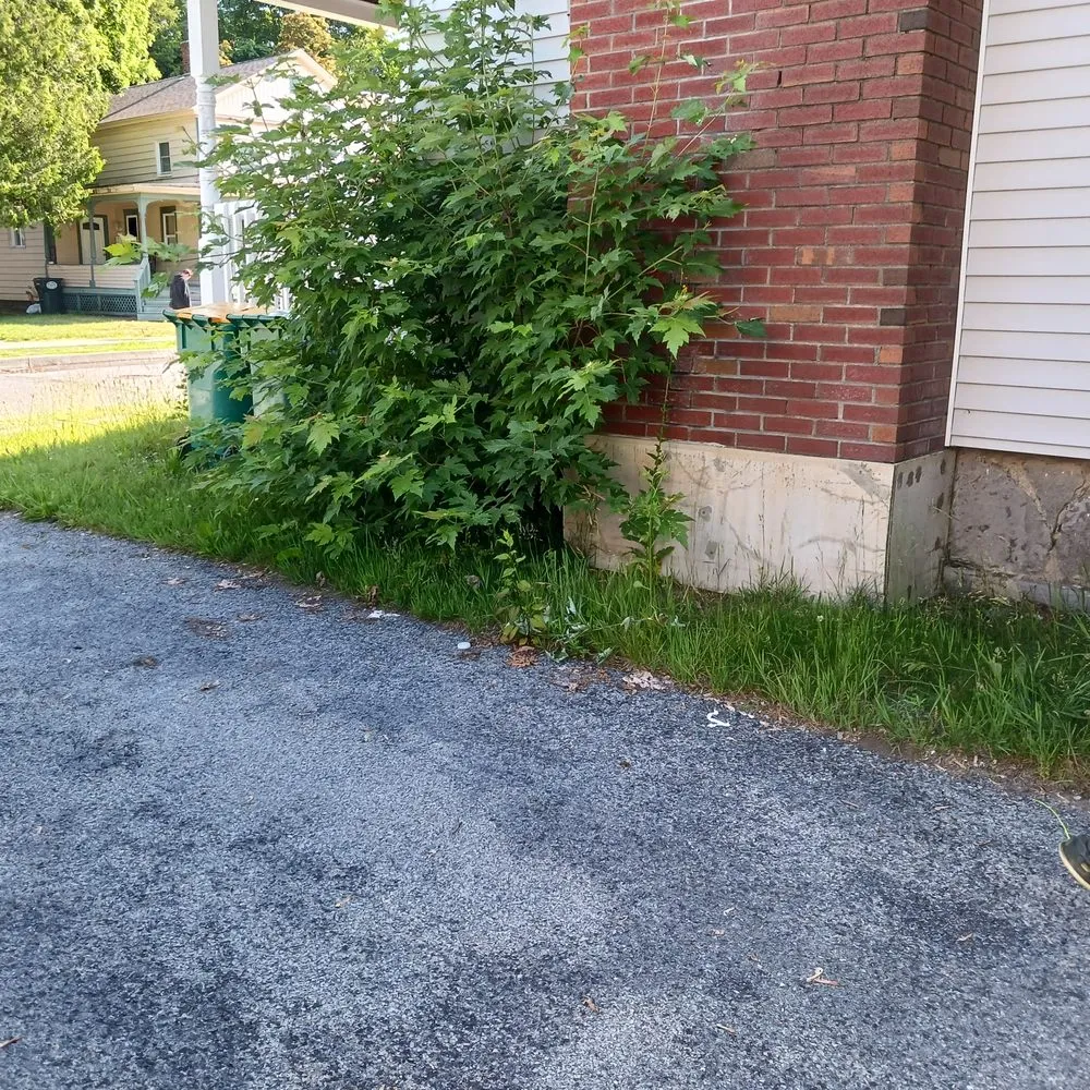 Expert garden landscaping in Queensbury, NY - JNC Lawnz