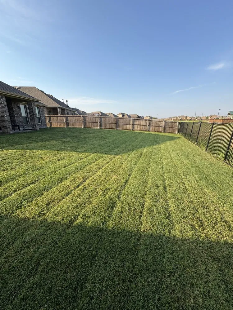Affordable landscape installation for year-round maintenance across Mesquite, TX - JND Lawn Care Services