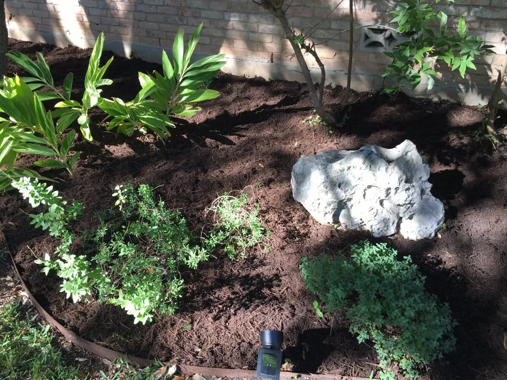 Local lawn care service experts serving San Antonio, TX - JNE Landscaping