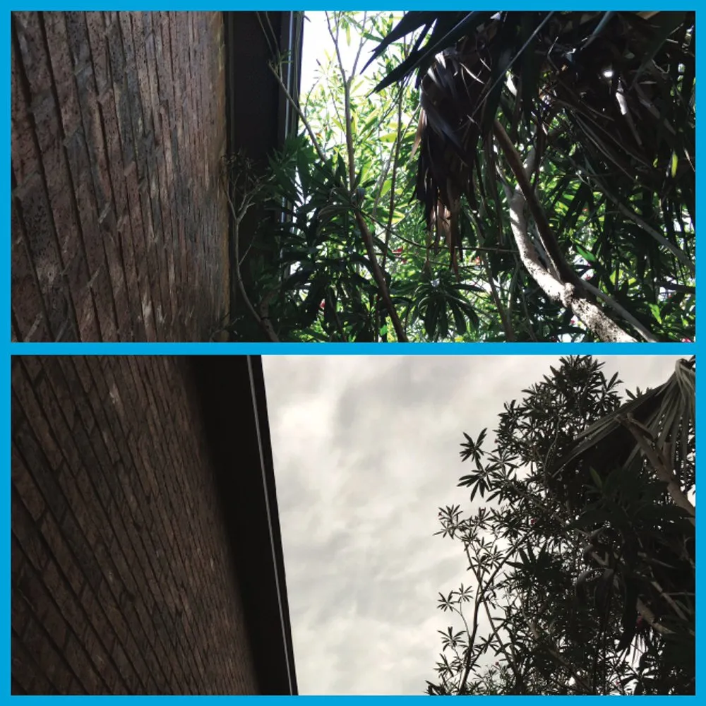 Top-rated landscape design in San Antonio, TX - JNE Landscaping