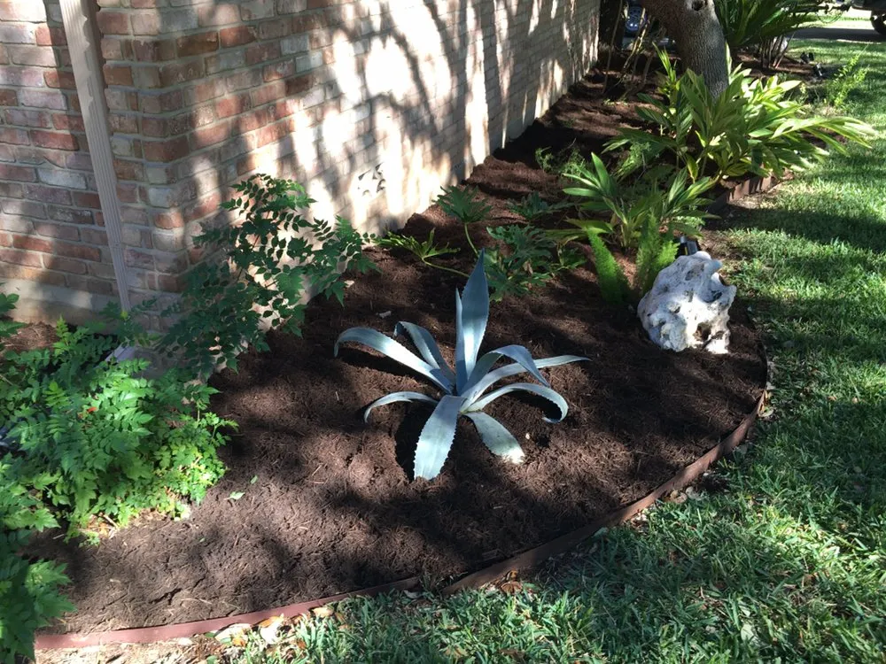 Professional landscape design in San Antonio, TX by JNE Landscaping