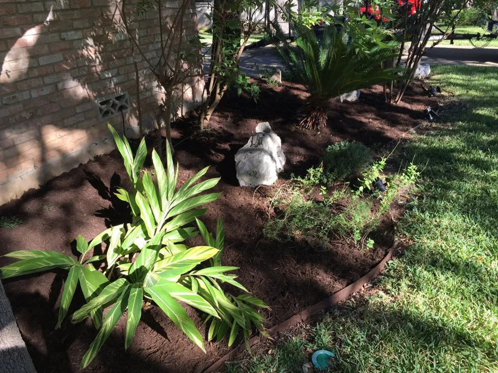 Professional landscape installation for homes in San Antonio, TX by JNE Landscaping