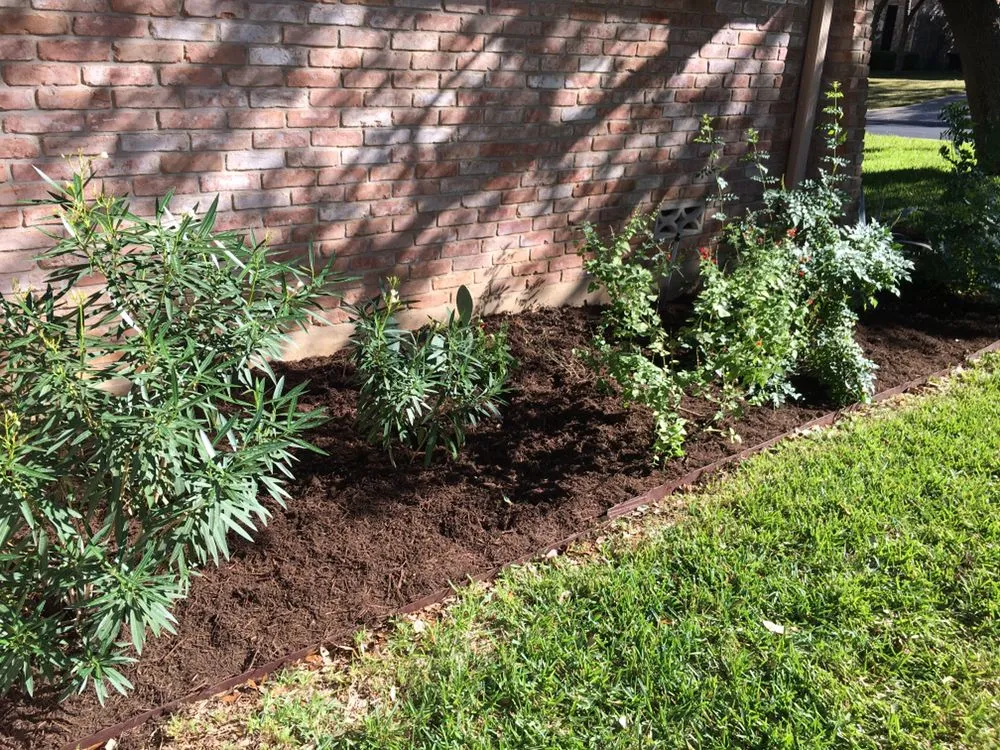 Reliable landscaping services for residential properties across San Antonio, TX - JNE Landscaping