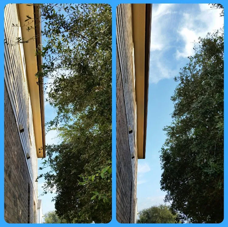 Custom landscape installation with custom design in San Antonio, TX by JNE Landscaping