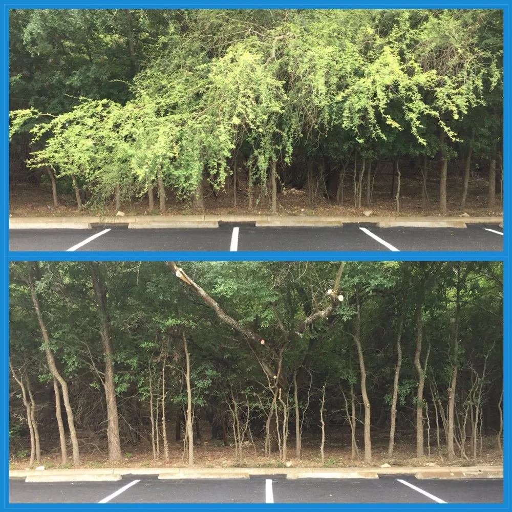 Top-rated residential landscaping for homes across San Antonio, TX - JNE Landscaping