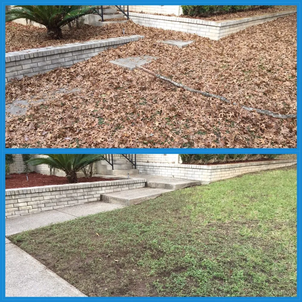 Local landscaping services in San Antonio, TX by JNE Landscaping