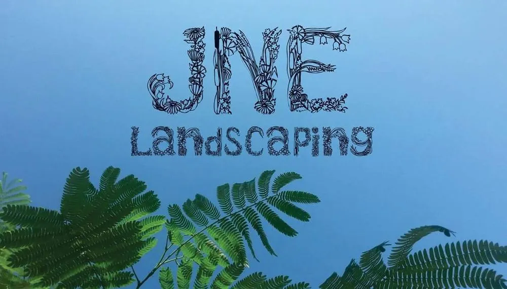 Reliable yard cleanup service for beautiful yards in San Antonio, TX by JNE Landscaping