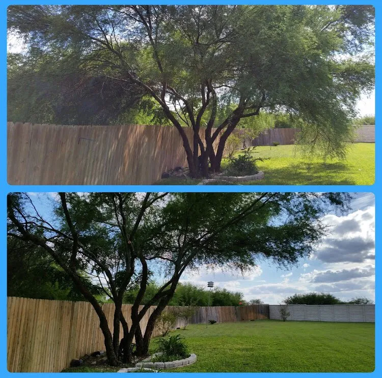 Expert lawn care service in San Antonio, TX - JNE Landscaping