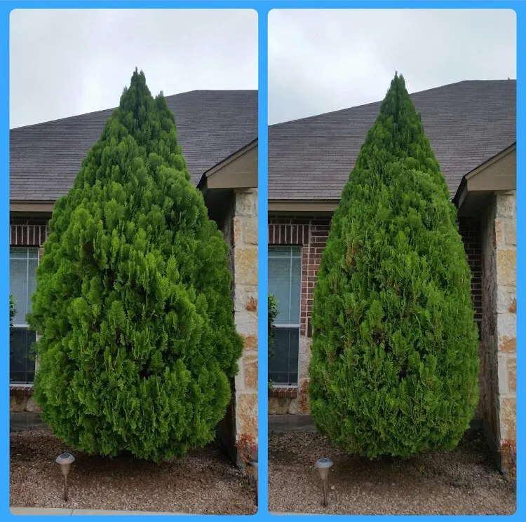 Custom landscaping services in San Antonio, TX by JNE Landscaping