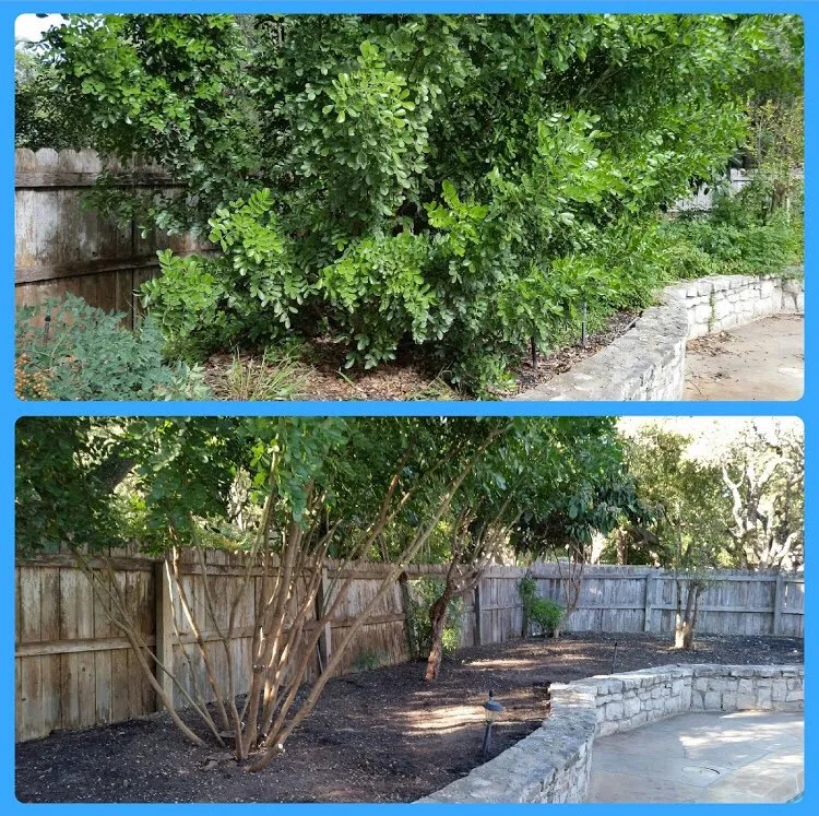 Reliable yard cleanup service in San Antonio, TX by JNE Landscaping